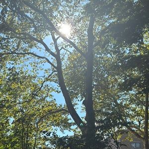 Meet your Posher, Dasha